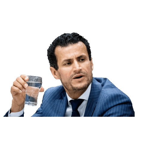 bewegingDENK giphyupload stem verkiezingen politiek Sticker