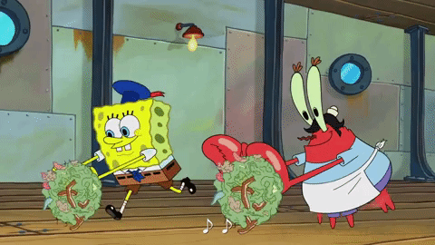 season 9 GIF by SpongeBob SquarePants