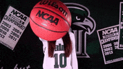 Basketball GIF by RiverHawk Sports
