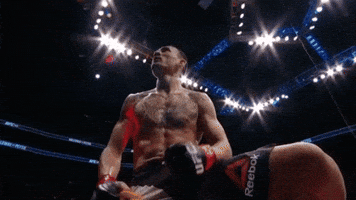 ufc 206 champion GIF