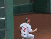 GIF by SB Nation