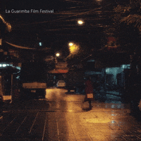 Following Night Out GIF by La Guarimba Film Festival