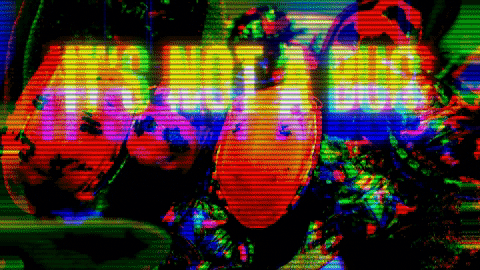 drikkes giphygifmaker future bug feature GIF