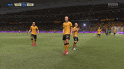 Celebrate Aaron Mooy GIF by Football Australia