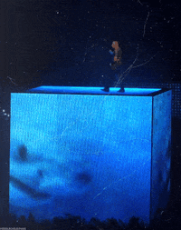 kanye west swag GIF