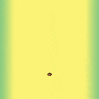 Make It Better Super Bowl GIF by Avocados From Mexico