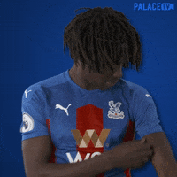 Premier League Eagles GIF by CPFC