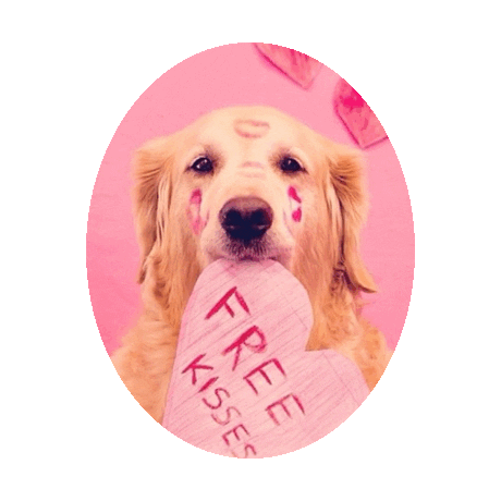 dog valentine STICKER by imoji