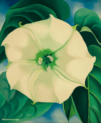Fleur Pamela Chougne GIF