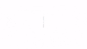 GIF by Mini Studio