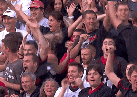 cincinnati bearcats celebration GIF by University of Cincinnati Athletics