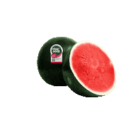 melanciapingodoce melancia pingo doce melancia pingo doce sabor por inteiro Sticker