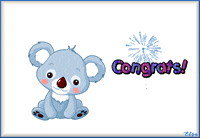 Koala Bear Congrats GIF