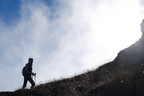 alisonriley829f giphyupload GIF