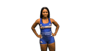 College Sports Bluehens Sticker by Delaware Blue Hens