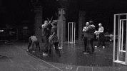 GIF by Elite Daily