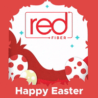 GIF by RED Fiber
