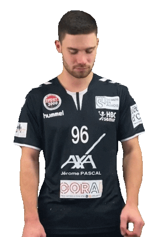 Sport Team Sticker by Montfermeil Handball