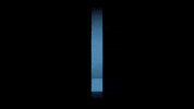 Jiu Jitsu Bastrop GIF by Insight BJJ