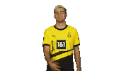 Waving Come On Sticker by Bundesliga