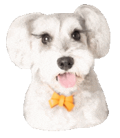 Dogs 犬 Sticker