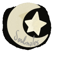 Star Moon Sticker
