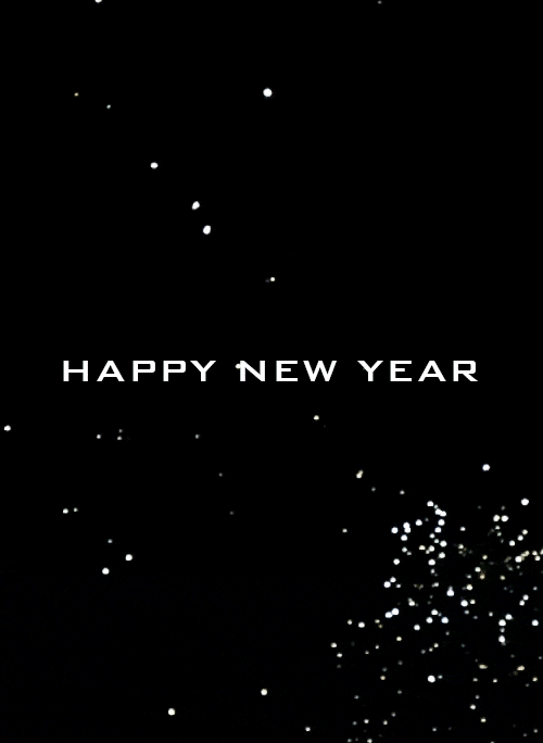 new years fireworks GIF