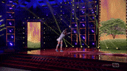 Gymnastics Round Off GIF by Leroy Patterson