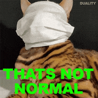 Germany Yes GIF by PEEKASSO