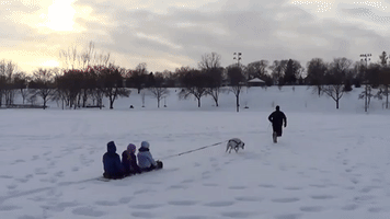 Dog Pulls a Toboggan Full of Kids