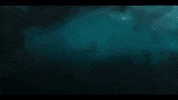 Shark Movie GIF by Signature Entertainment