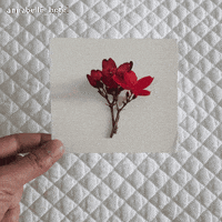 I Love You Art GIF by Eleana Chrysanthou