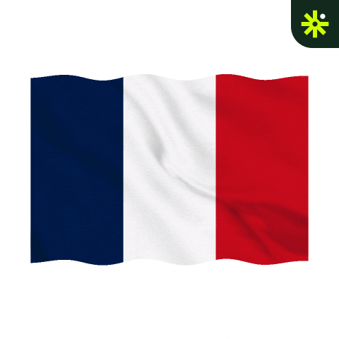 France Sticker GIF