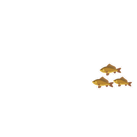 ADMNutricaoAnimal giphyupload admnutricaoanimal nutricaoanimal admnutri Sticker