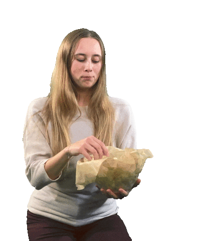 LSO_Leipzig giphyupload tv girl cool Sticker