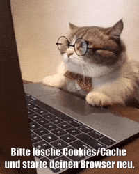 unsereoebb cat katze oebb weltkatzentag GIF