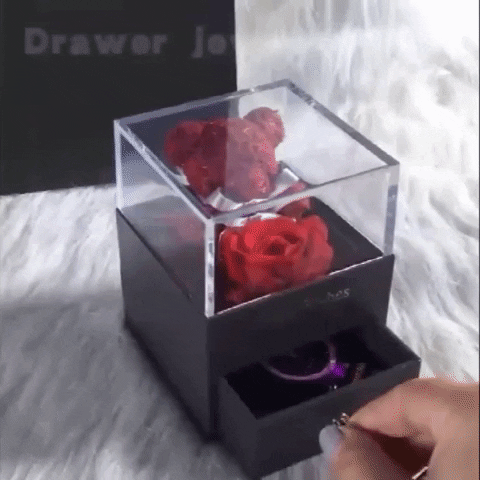 danaid2a7 giphyupload GIF