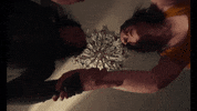 Eva Green Nocebo GIF by VVS FILMS