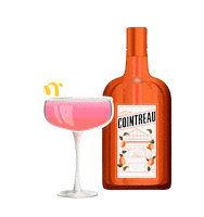 Drinks Cocktail Sticker by cointreau_us