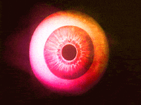 Pink See GIF