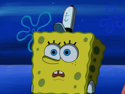 season 6 GIF by SpongeBob SquarePants