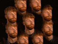 Toby Segar GIF by GIPHY IRL