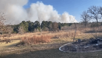 'Very Active' Wildfire Forces Evacuations in Bastrop, Texas