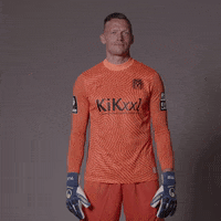 Sv Meppen Finger GIF by DFB