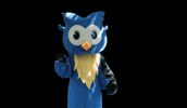Dance Owl GIF by Middlesex Community College