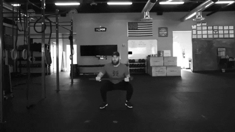 setforset giphygifmaker GIF