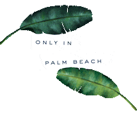 Palm Beach Theroyal Sticker by The Royal Poinciana Plaza