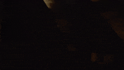 Comeback Kid GIF by Sharon Van Etten