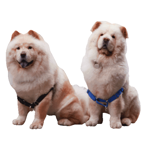 Archarmy Sticker by arch