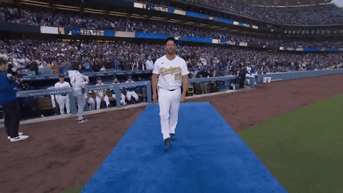 Los Angeles Dodgers Sport GIF by MLB